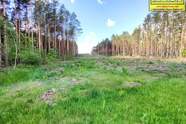 ZARĘBY-JARTUZY